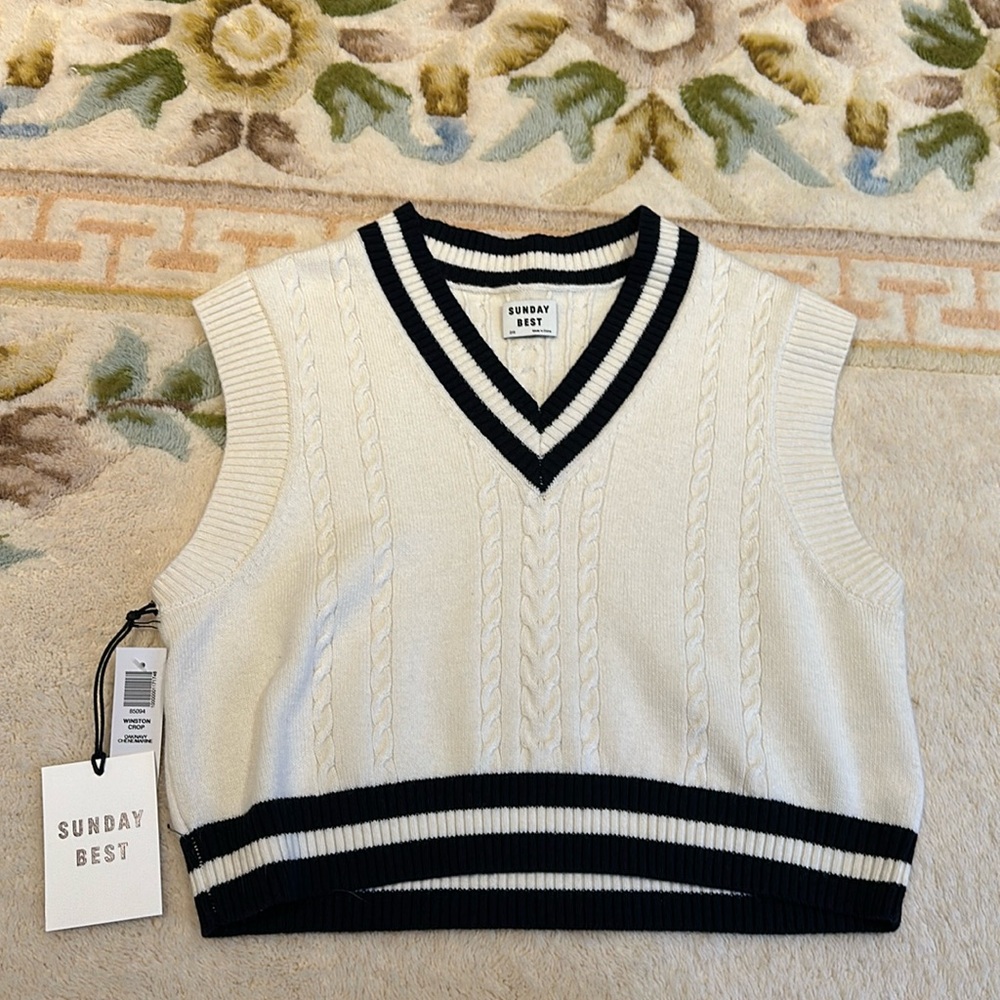 Aritzia Sunday Best Winston Crop Sweater